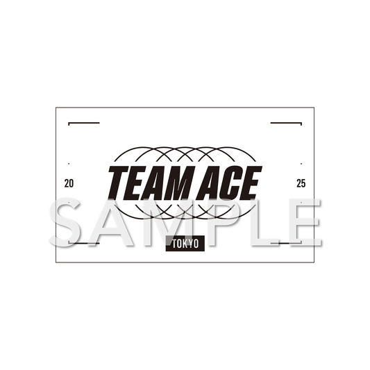【受注生産】VALORANT Challengers Japan 2025 SYNERGY-PLAY STICKER(TEAM ACE)